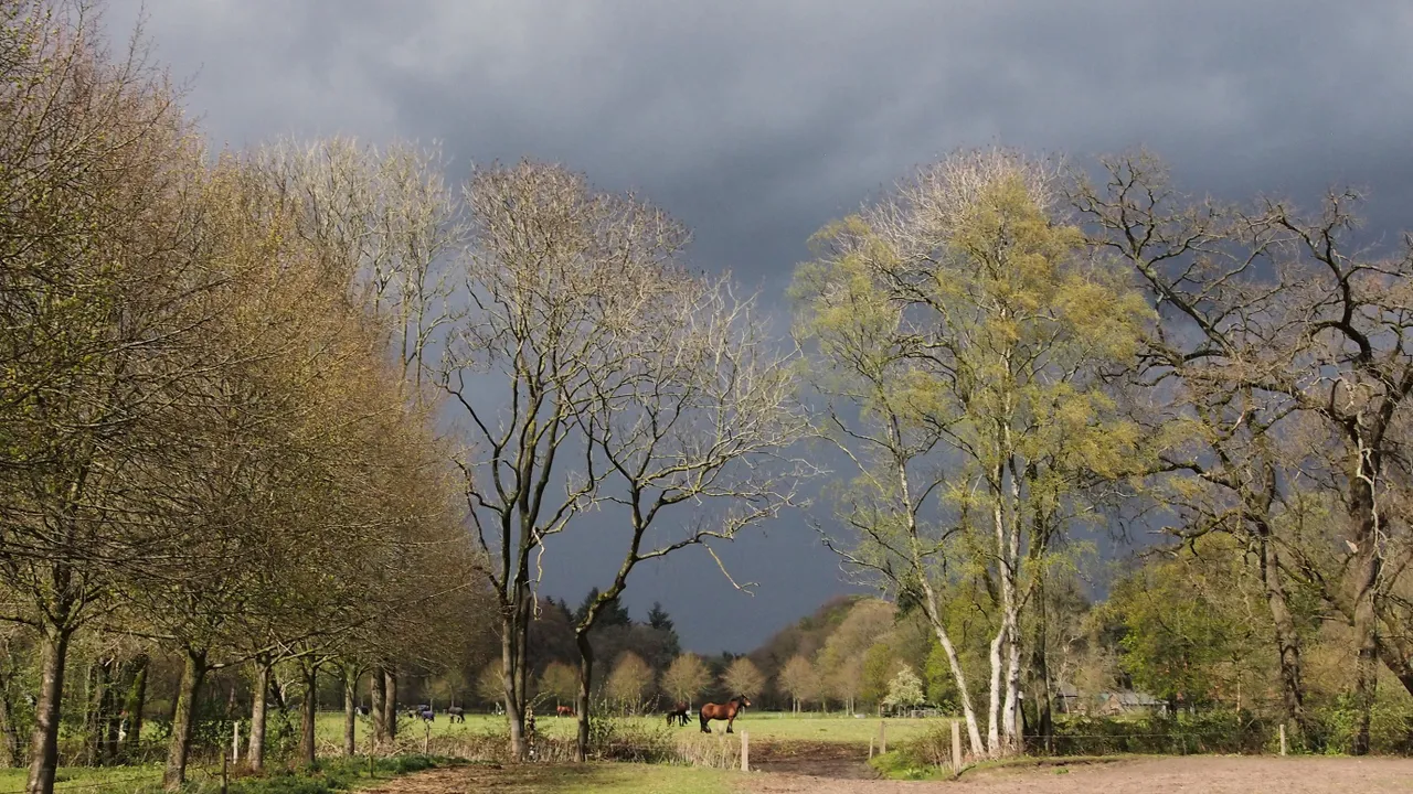 nl renkumquadenoord20210504oostweinaarnoordweipaardenlindeneikenberkenzonzwartelucht1co2 2759x1552