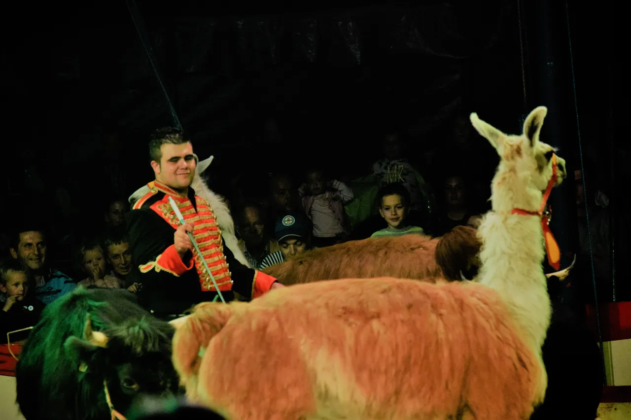 persfoto 03 c2a9 steffen wolf