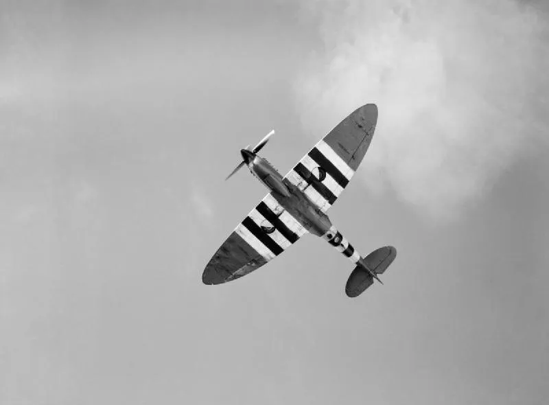 spitfire