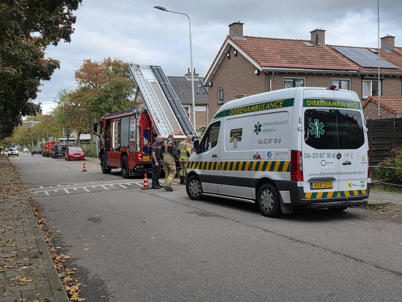 kat renkum2