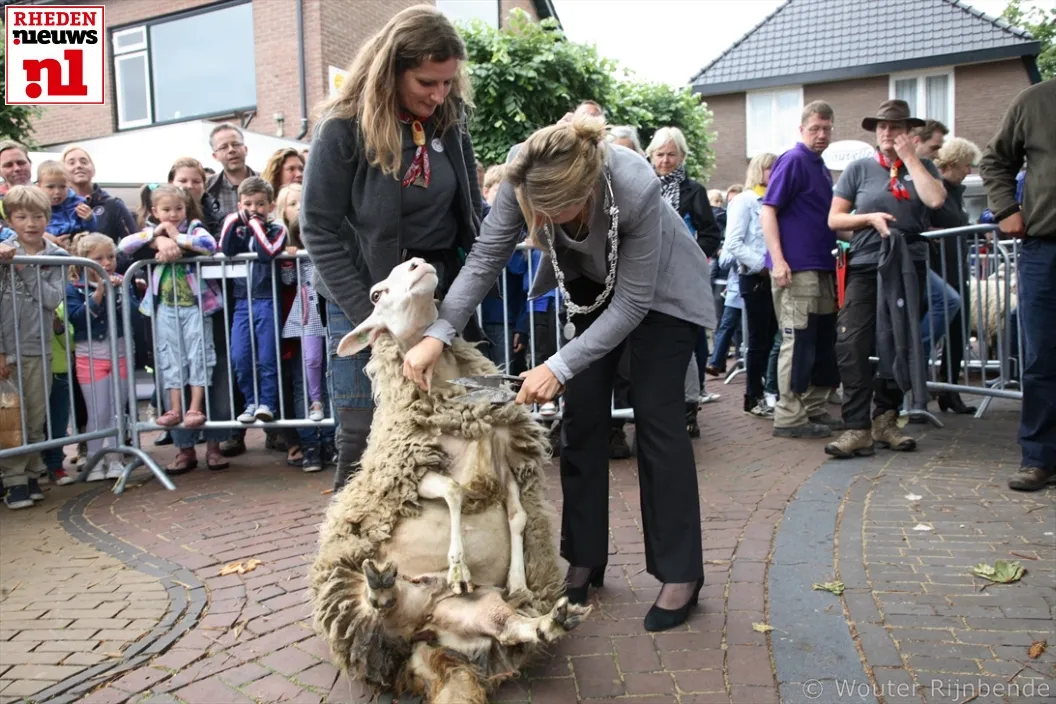 2015 06 20 schaapscheerdersfeest 025