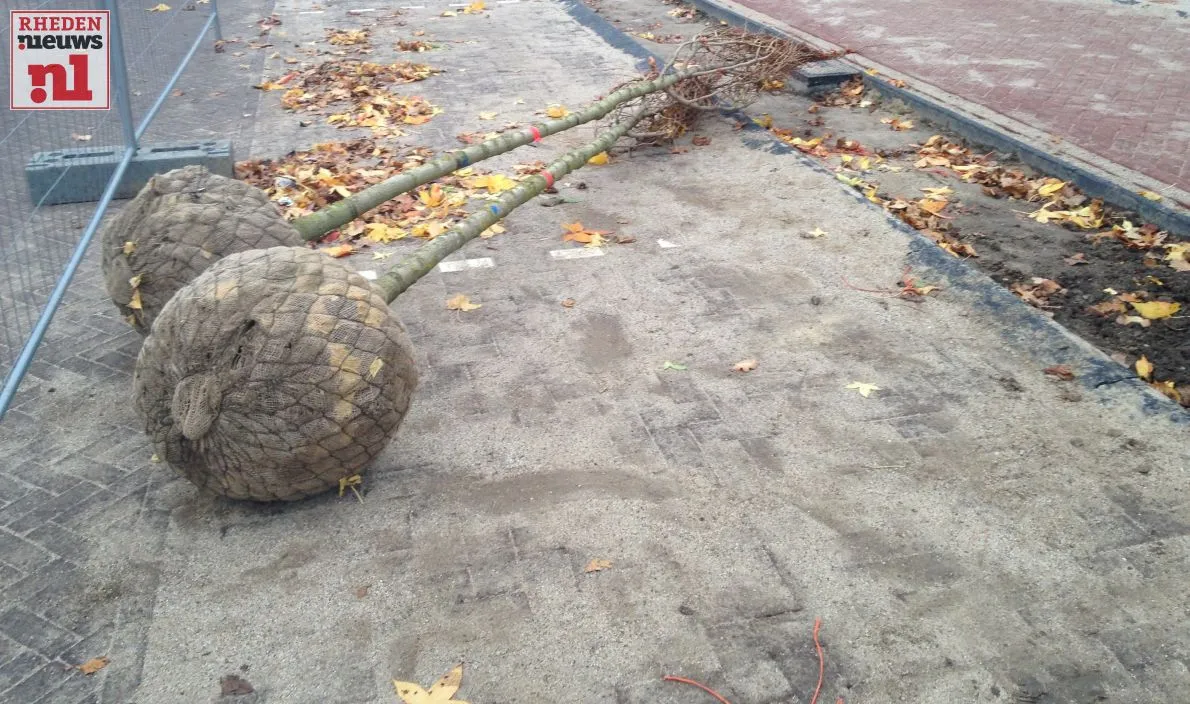 2015 11 09 dieren callunaplein update 001