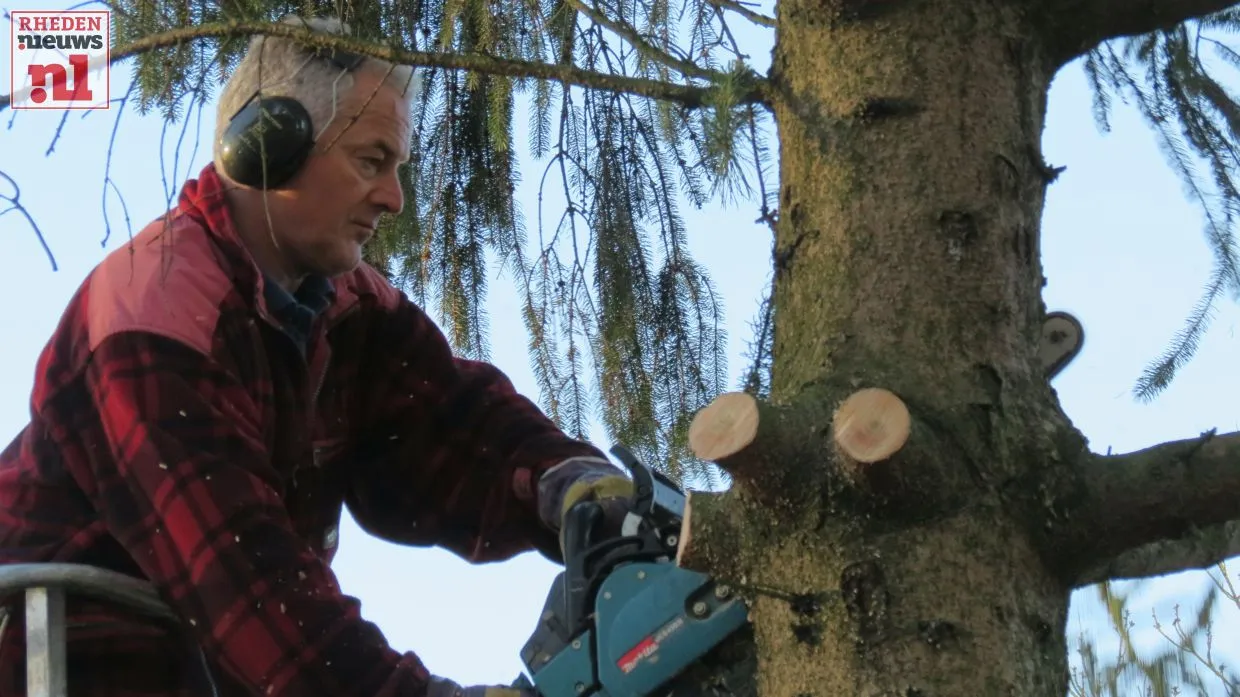 2016 01 08 kerstboom velp 004