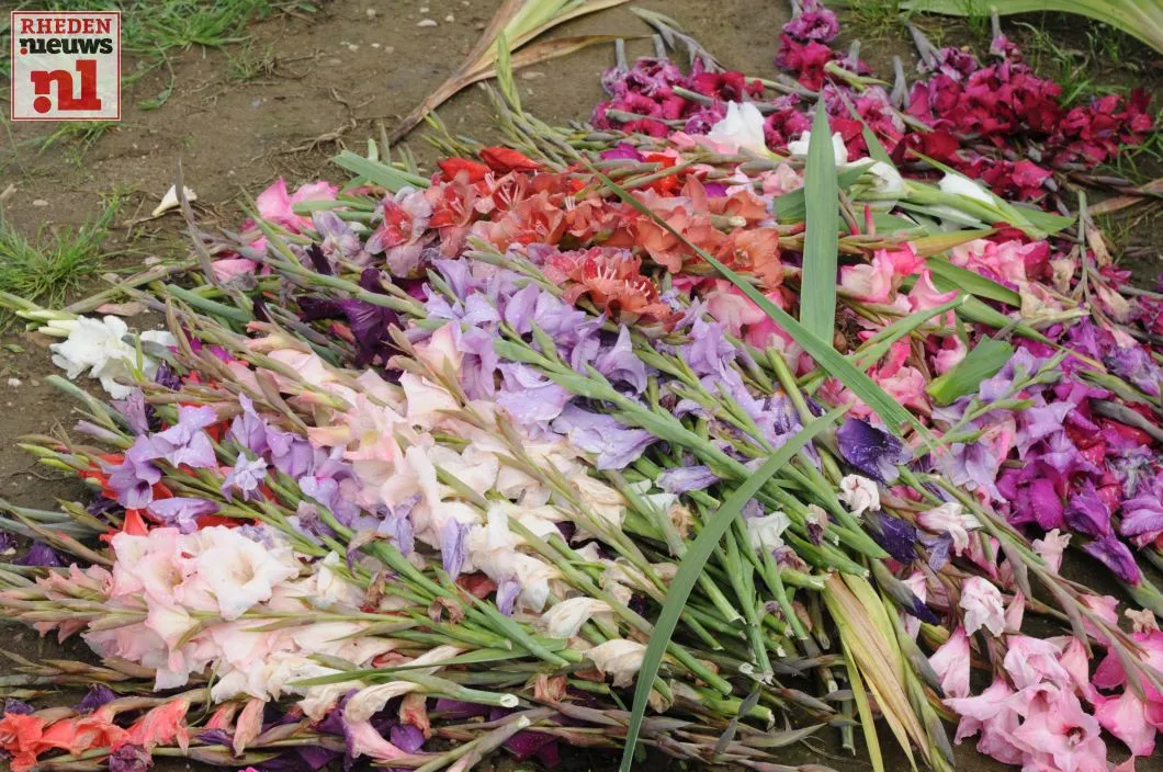 2016 08 06 laag soeren gladiolenfestival 016