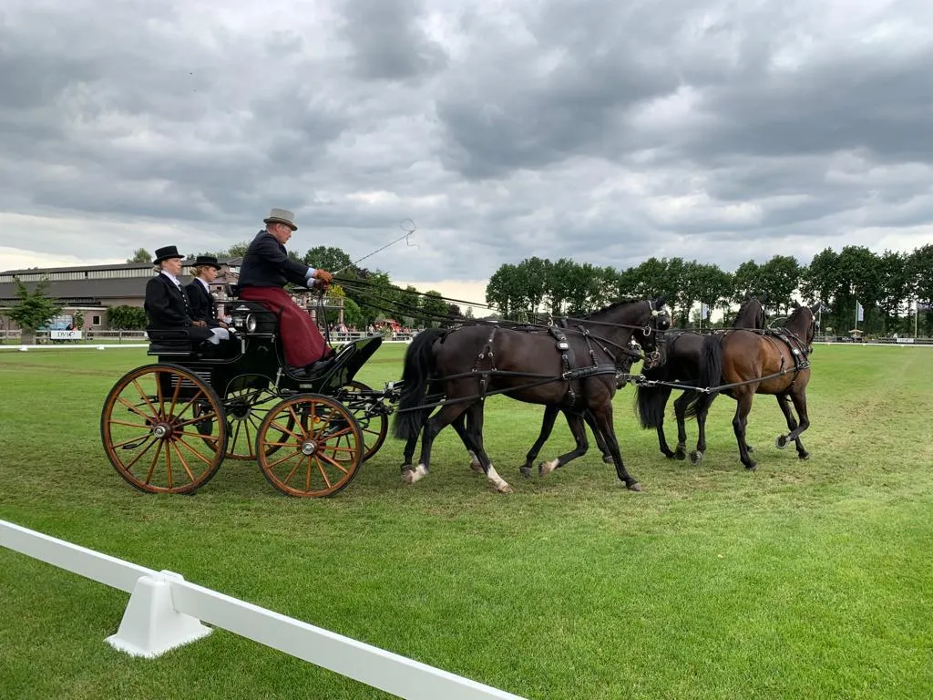 4df587ea a2b6 4b6c bbdf 16fb25410b65 geldersch vierspan team