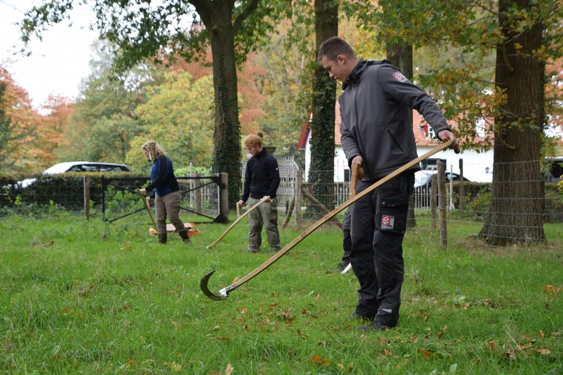 8 zeisles rick jansen