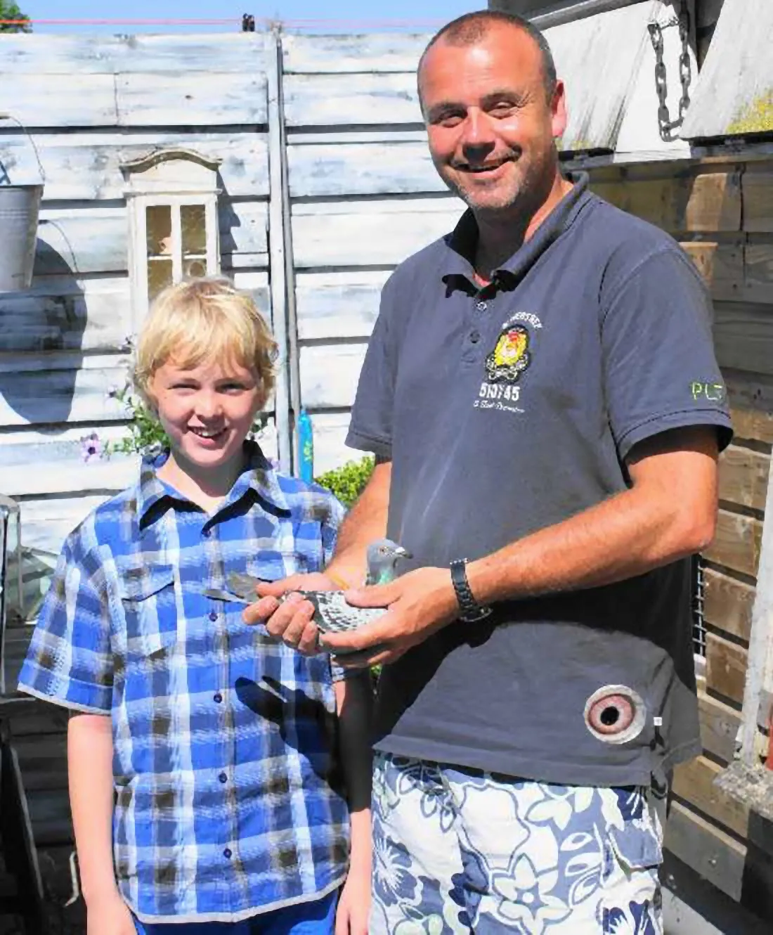 a kok en zoon postduivenvereniging velp zuid