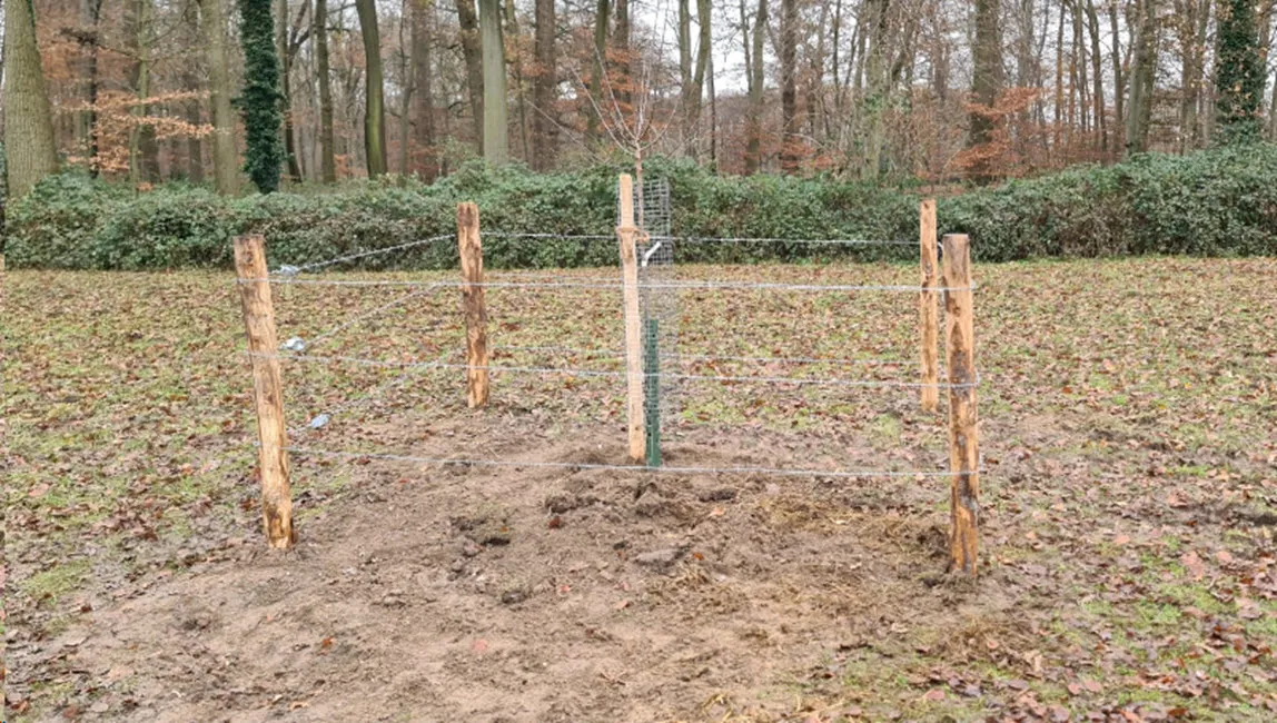 aanleg hoogstamboomgaard de elzenhof 2023 3