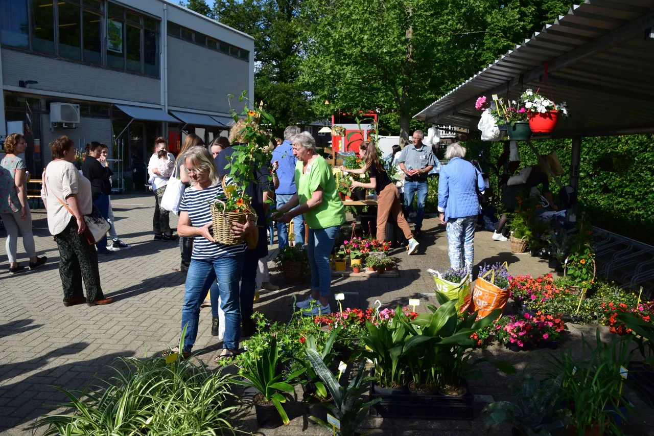 aeres planten in de verkoop op de markt van festival goed groen