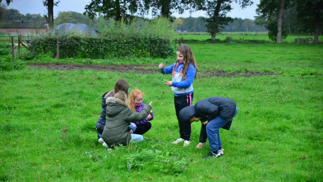 biologische boerderij rhedense schooldag van de duurzaamheid