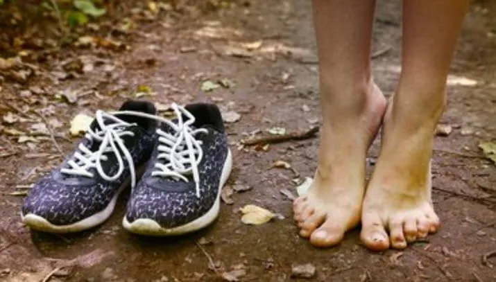 blotevoetenwandeling landgoed rosendael geldersch landschap kasteelen
