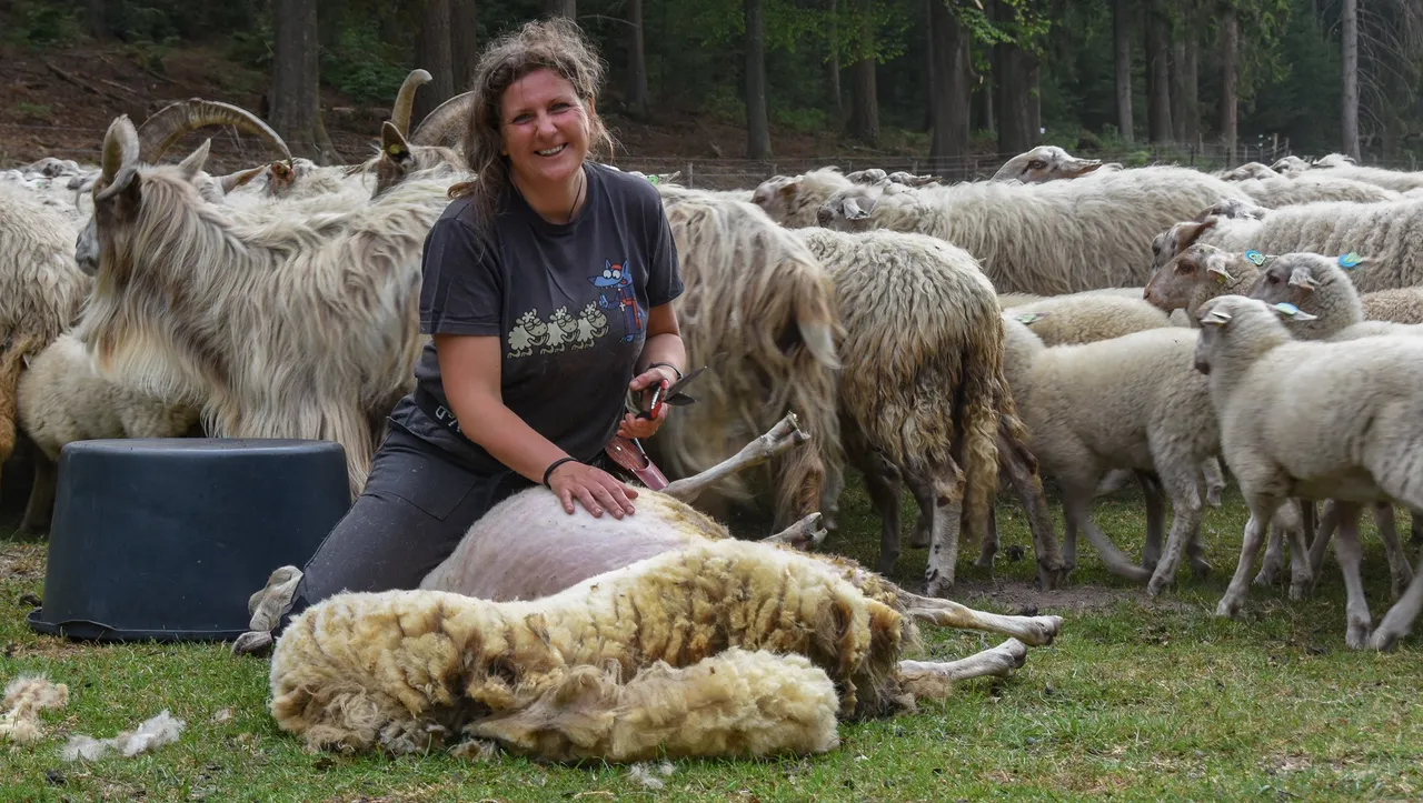 bonte schaap festival 2024 herderin cynthia riecc88tta veldhuis