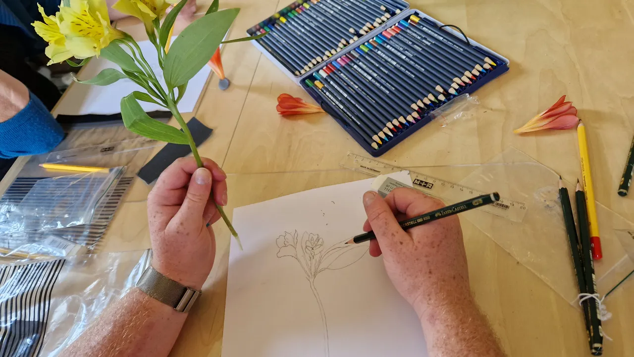 botanisch tekenen2 angelique krijnen