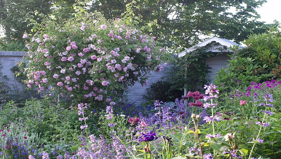 csm 1 1202 alie stoffels d1f397caef1