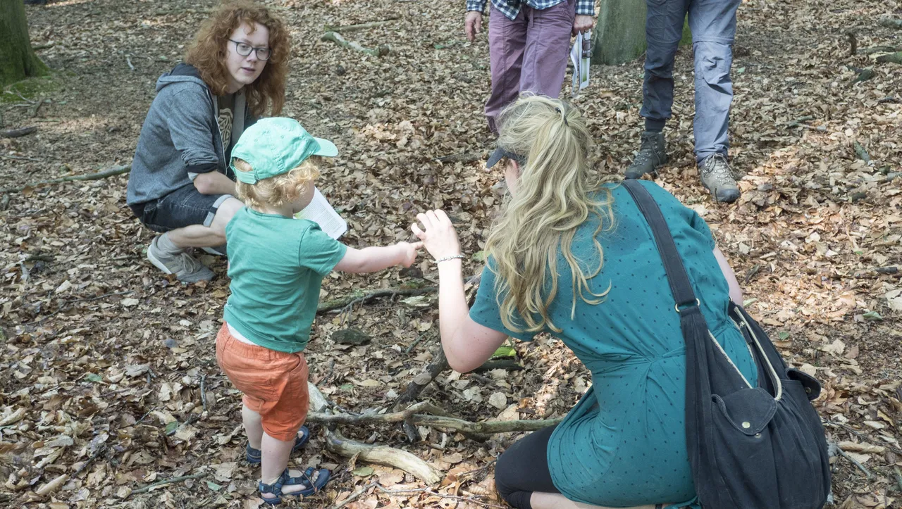 cursus natuurgids ivn3 ivn oost veluwezoom en ivn arnhem