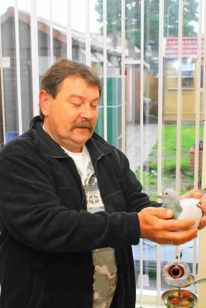 e jordens postduivenvereniging velp zuid