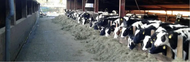 ellecommers blij met nieuwe boerderij1