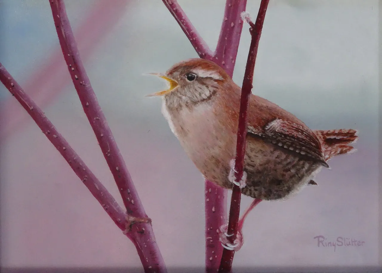 expositie rini slc3bctter2