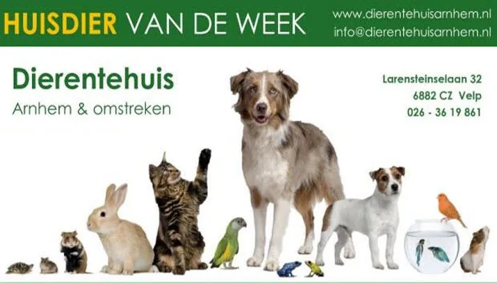 foto onder1
