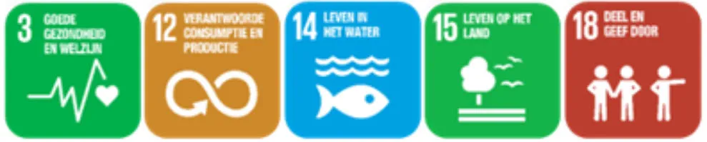 global goals nieuwenburgh