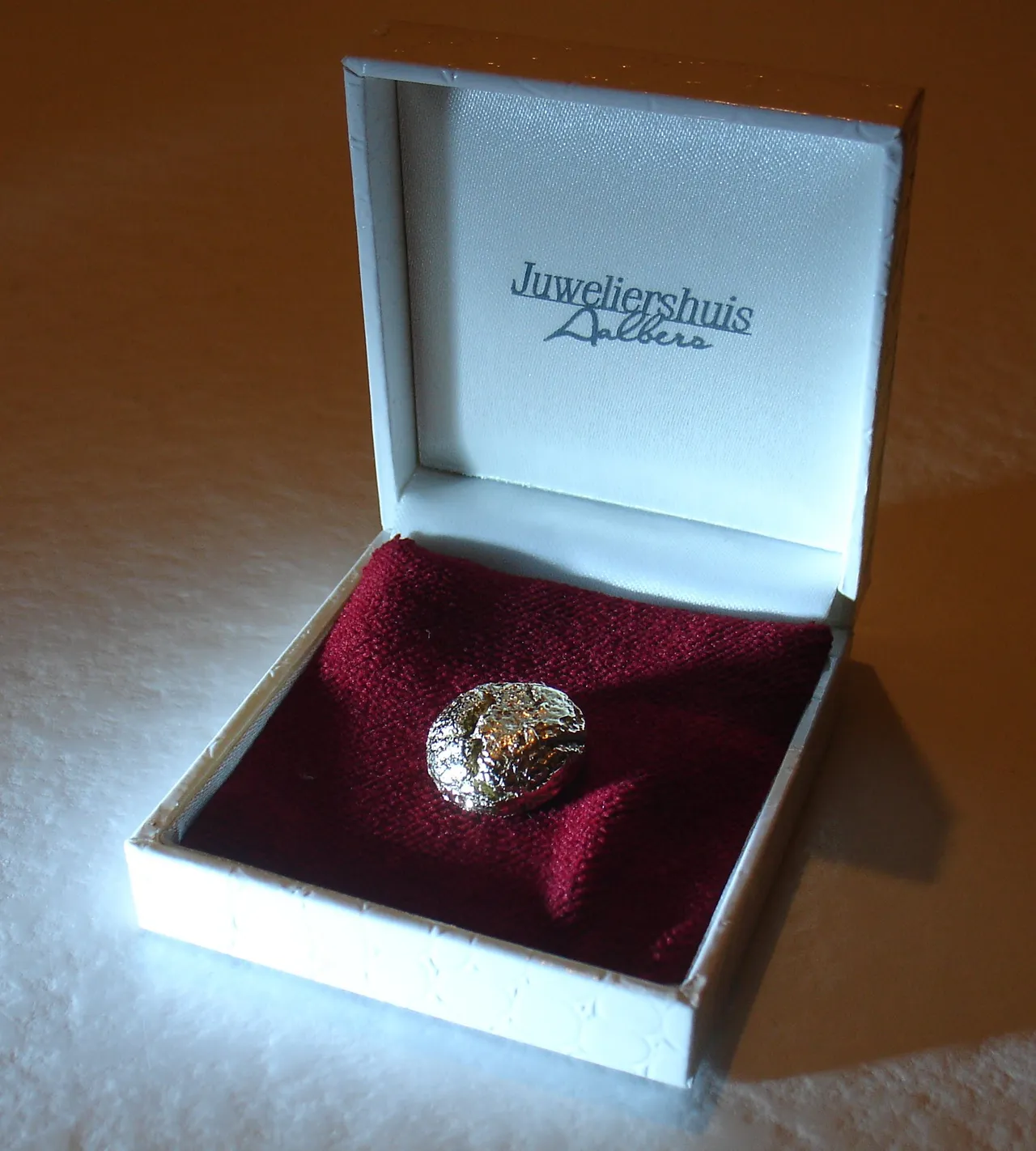 gouden pepernoot sinterklaas in velp1