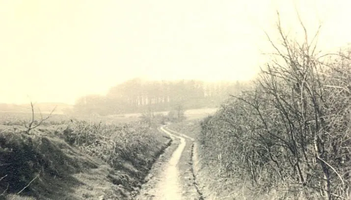 holleweg