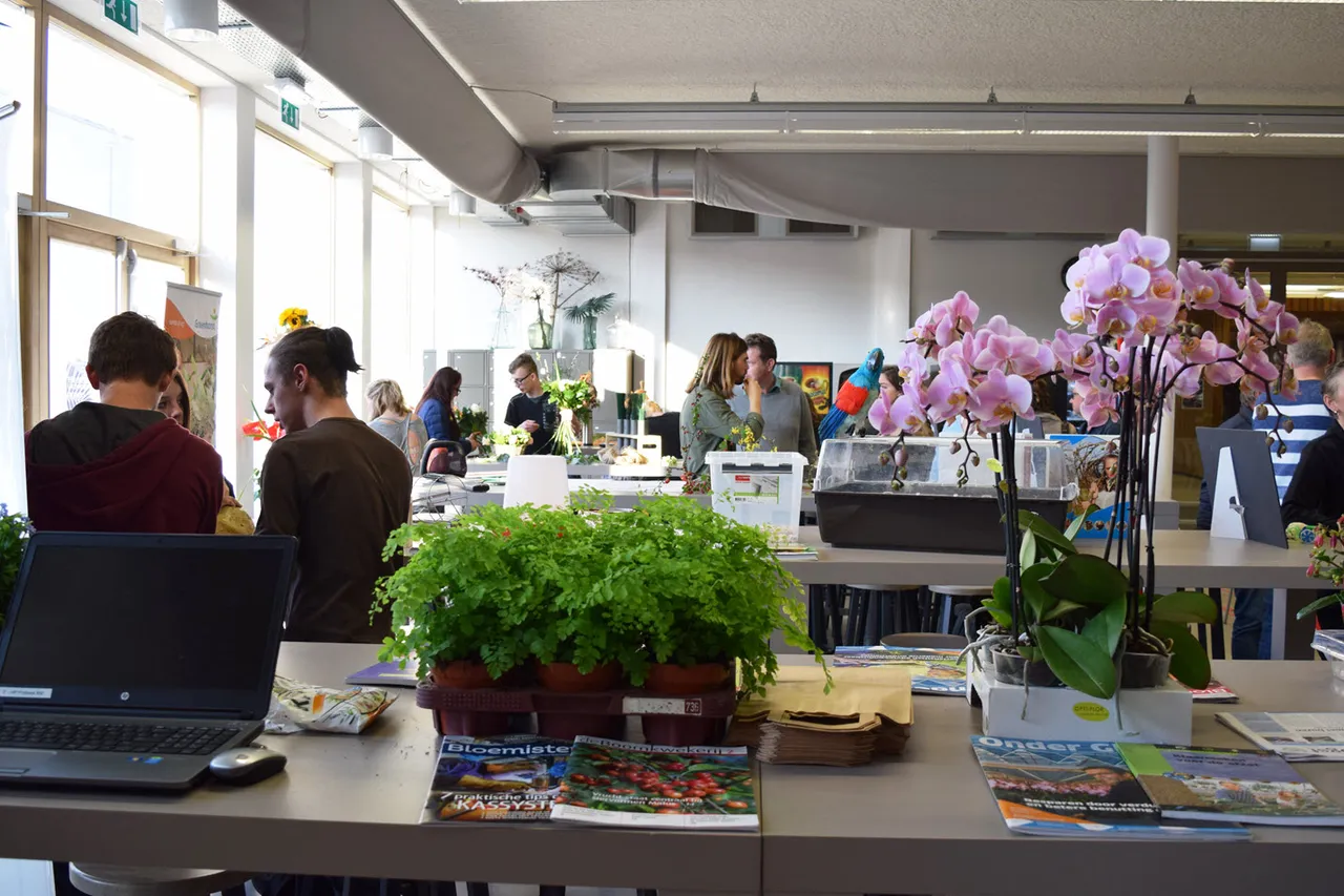 informatieavond mbo1