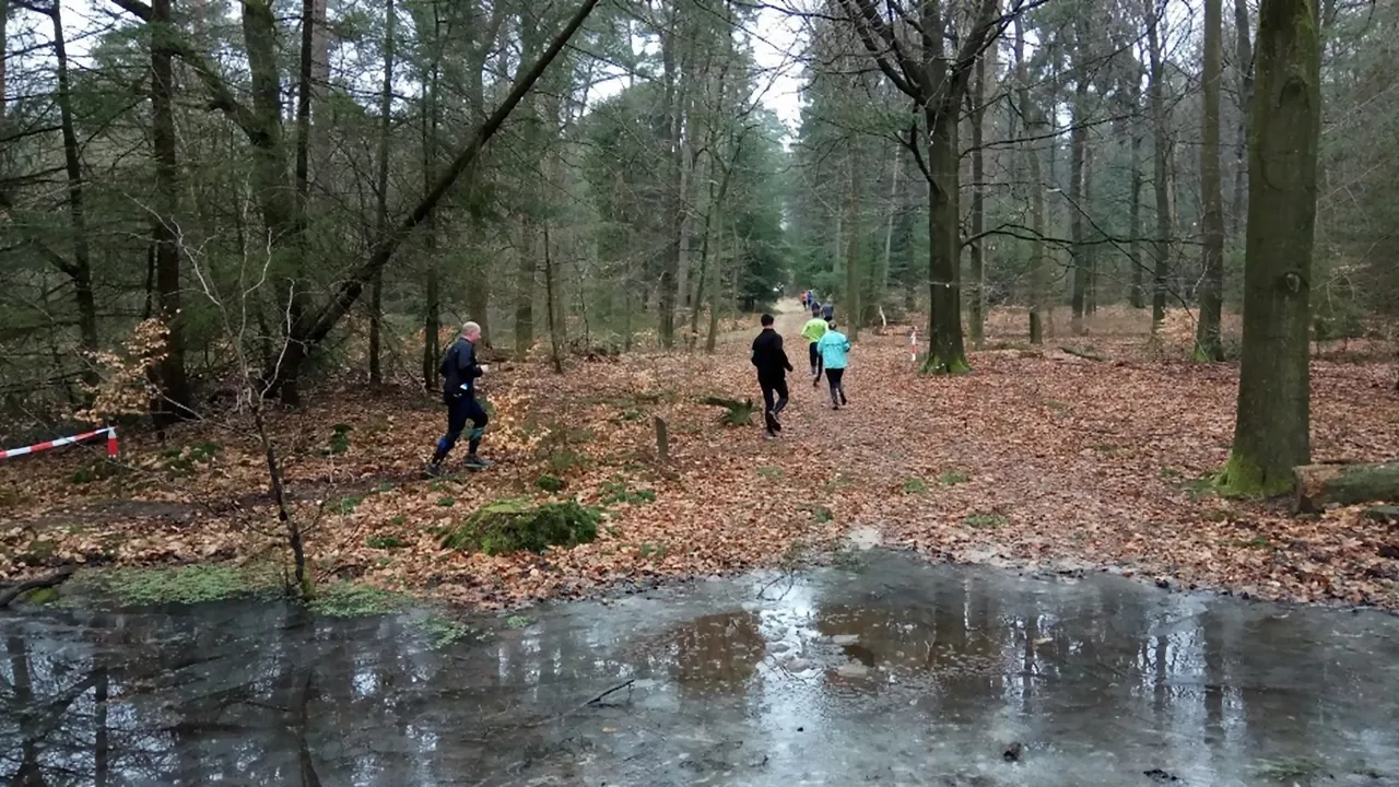 jutbergtrail 4
