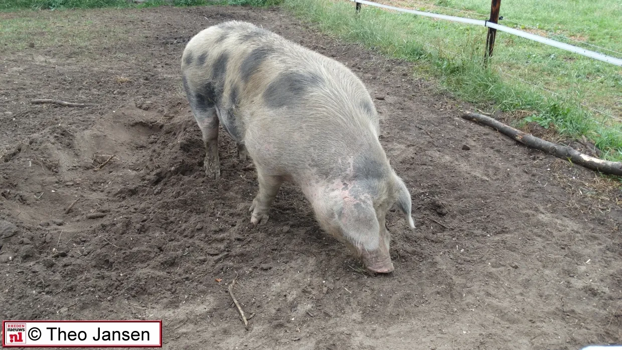 kappersweg 24 6 17 016