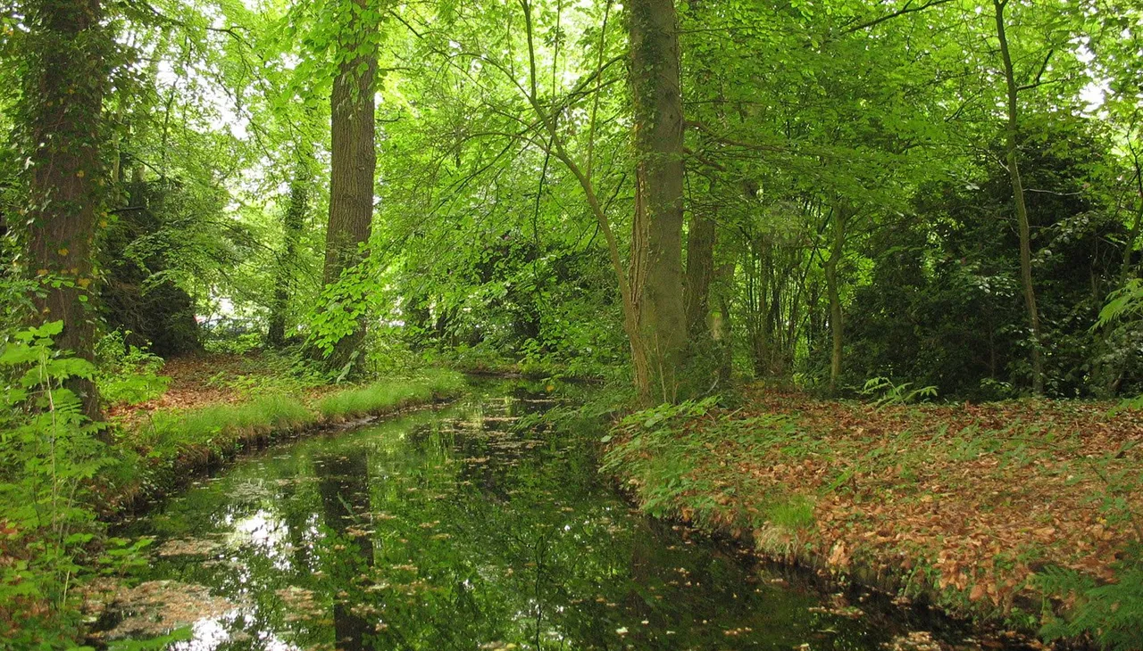 landgoed larenstein vijver