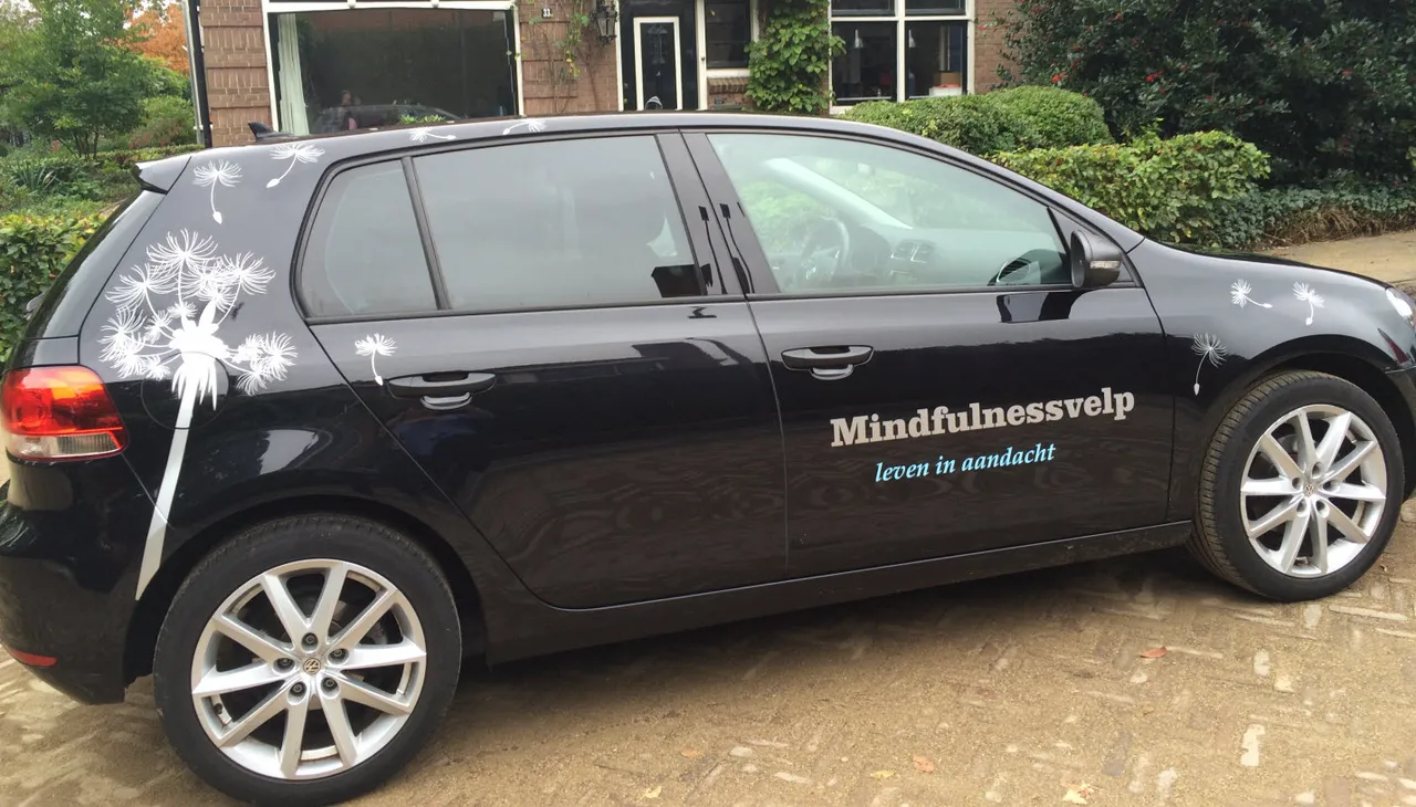 mindfulnessvelp auto