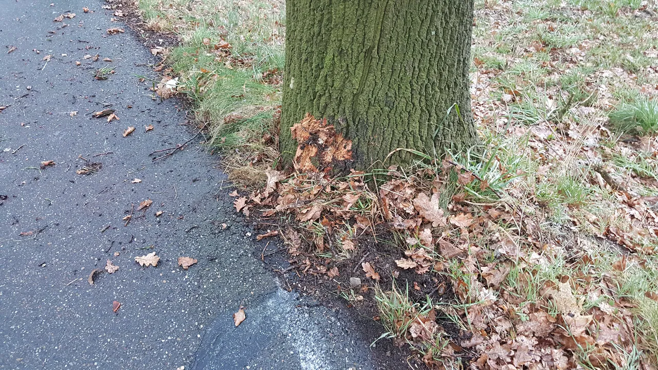 mysterieus ongeval scooter ree3