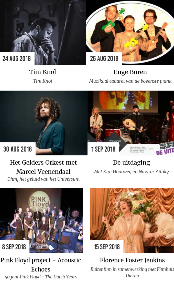 nazomerprogramma riqq pinkenberg velp