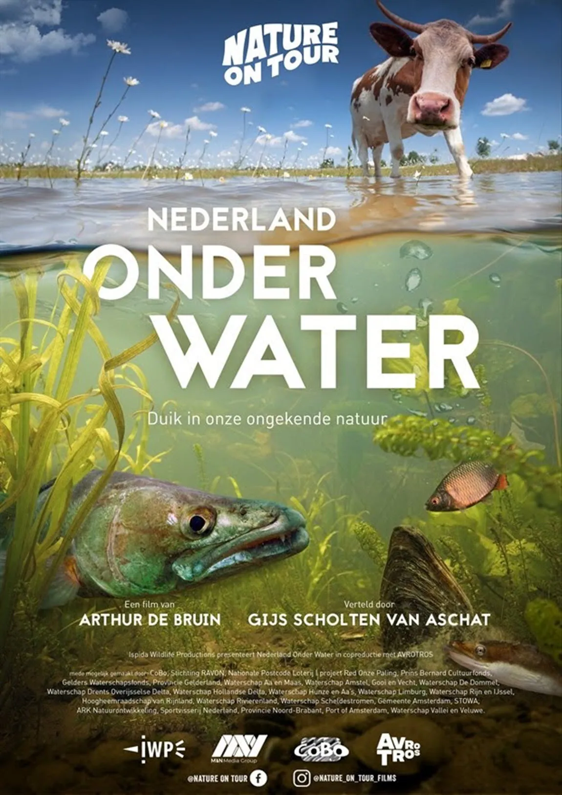 nederland onder water wereldvismigratiedag 2022