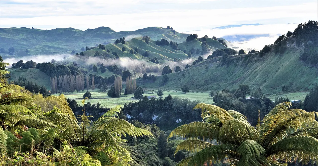 noordereiland 2018 renske idema
