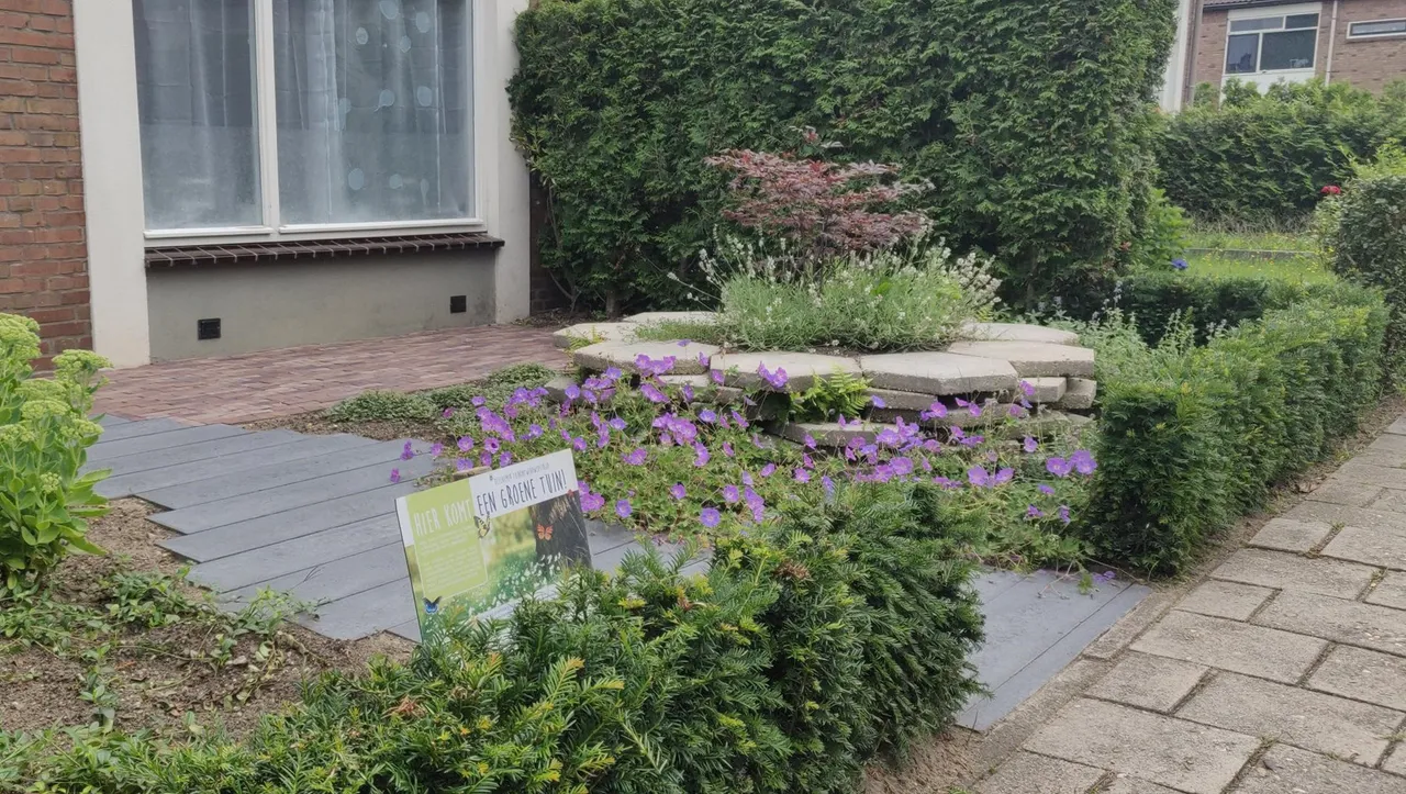 operatie steenbreek dieren1 berend poppema