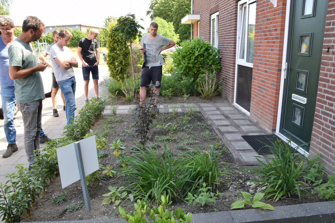 operatie steenbreek rheden marjanne eikelboom