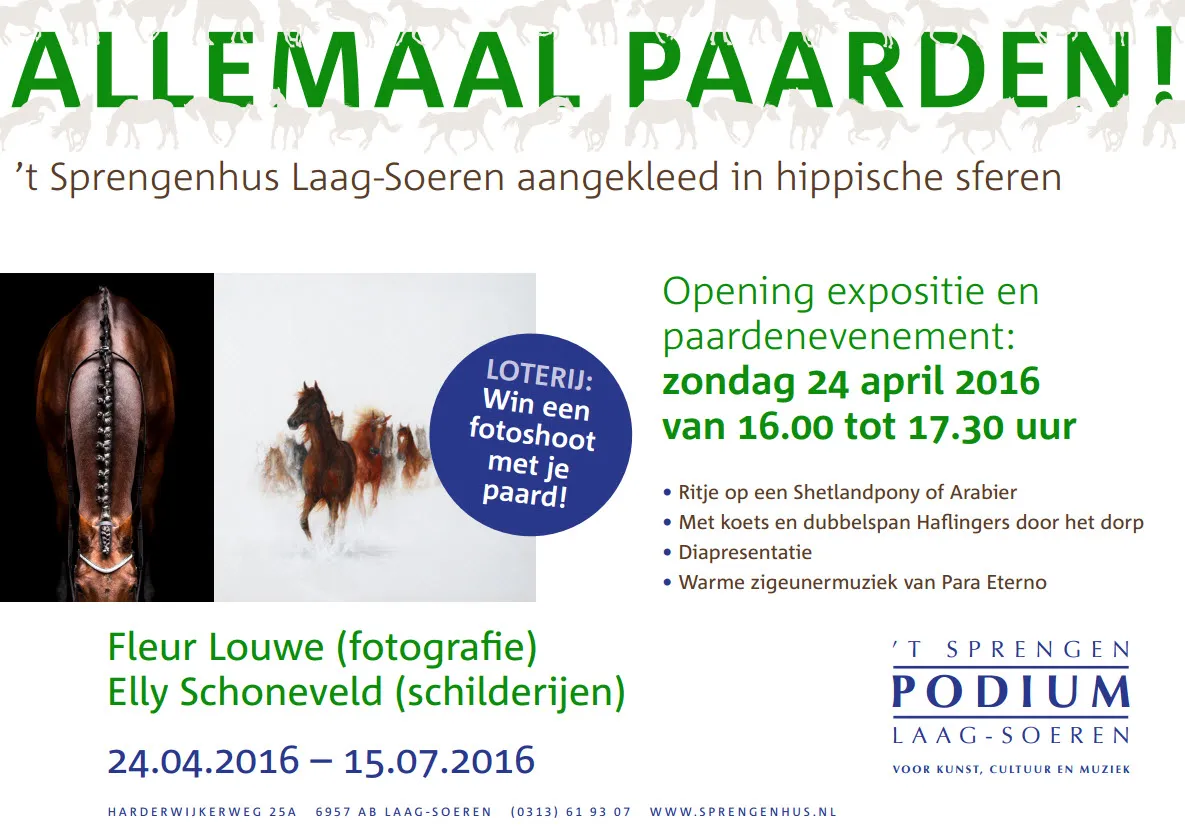 paarden
