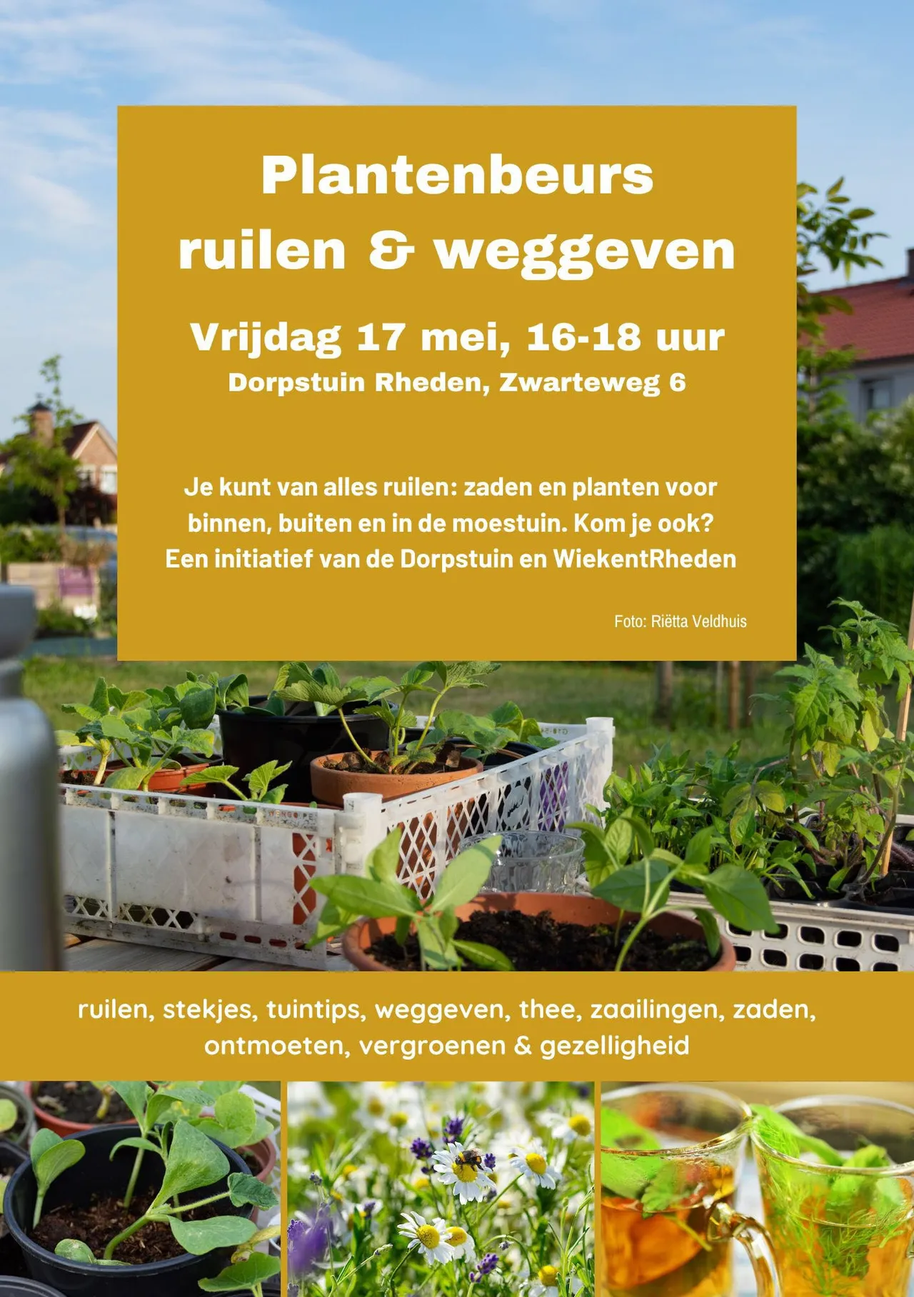 plantenbeurs dorpstuin rheden1 rietta veldhuis