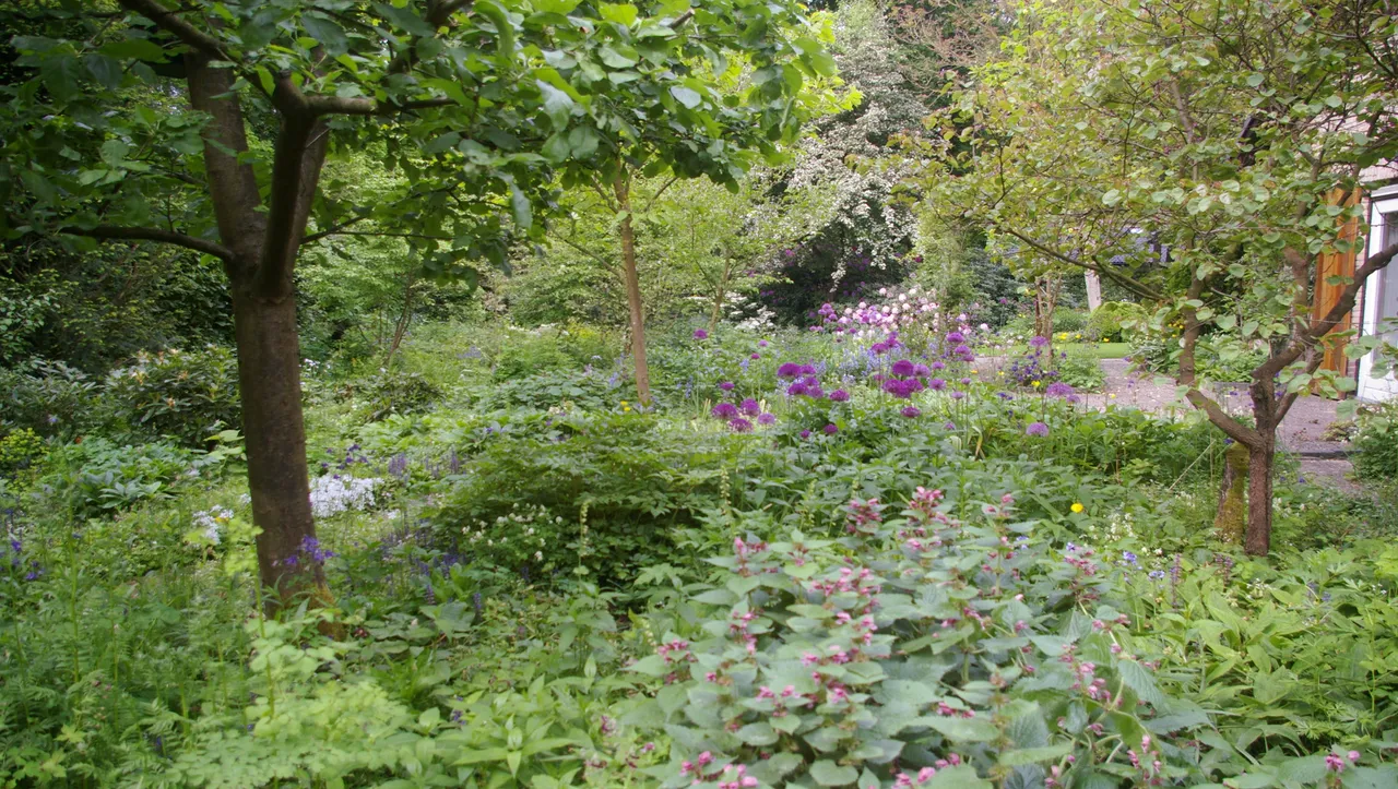 plantjesmarkt groei bloei veluwezoom tineke mc3a4kel2