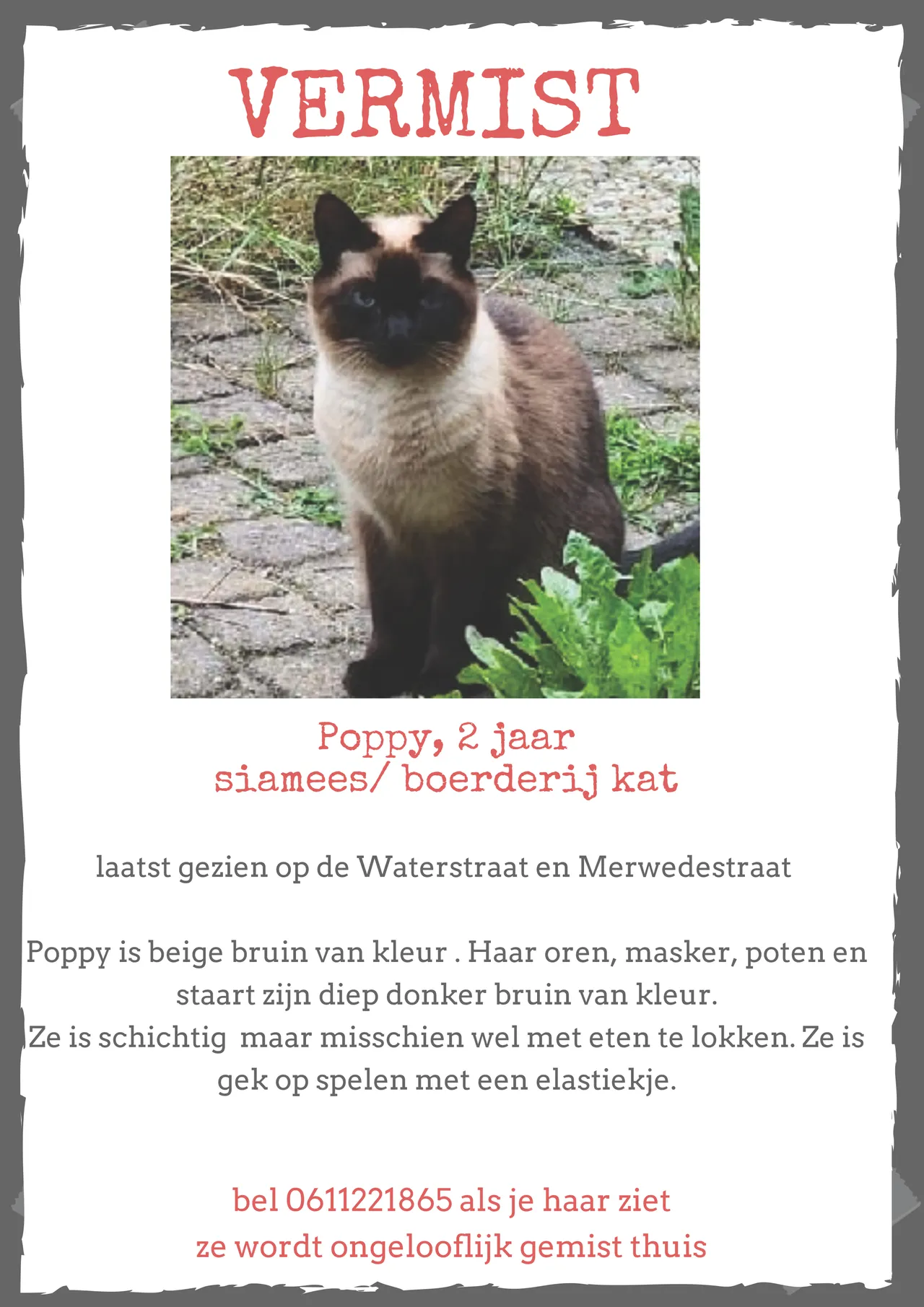 poppy vermist