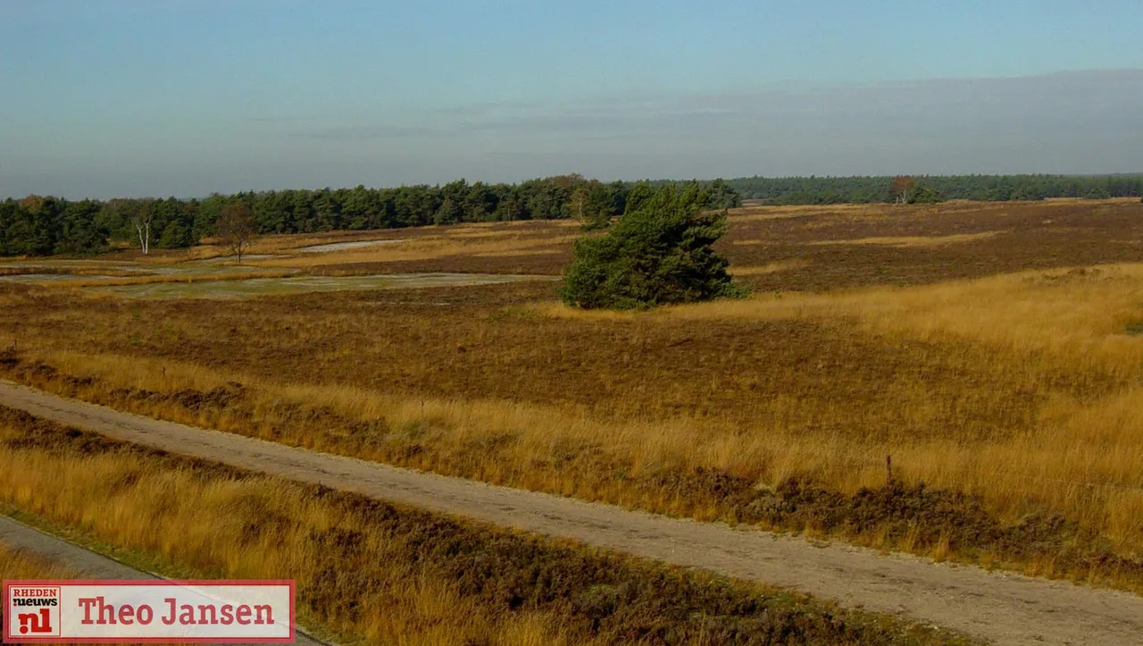 rozendaalse veld rhedennieuwsnl 3