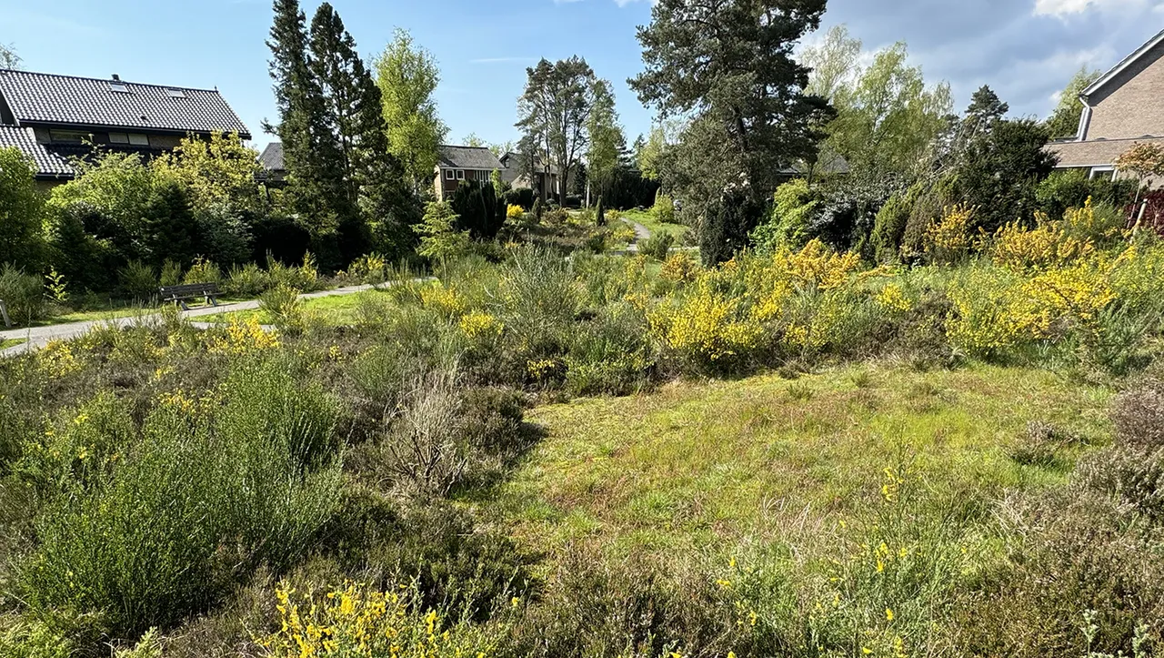 slenk natuur is je buur ben ter mull