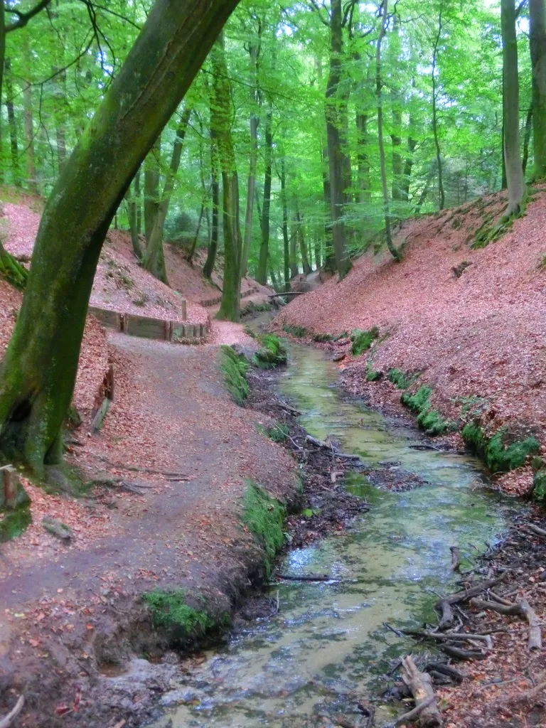 sprengenbeek