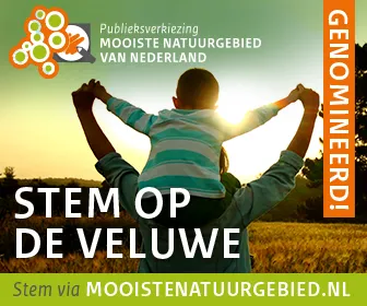 stem op de veluwe