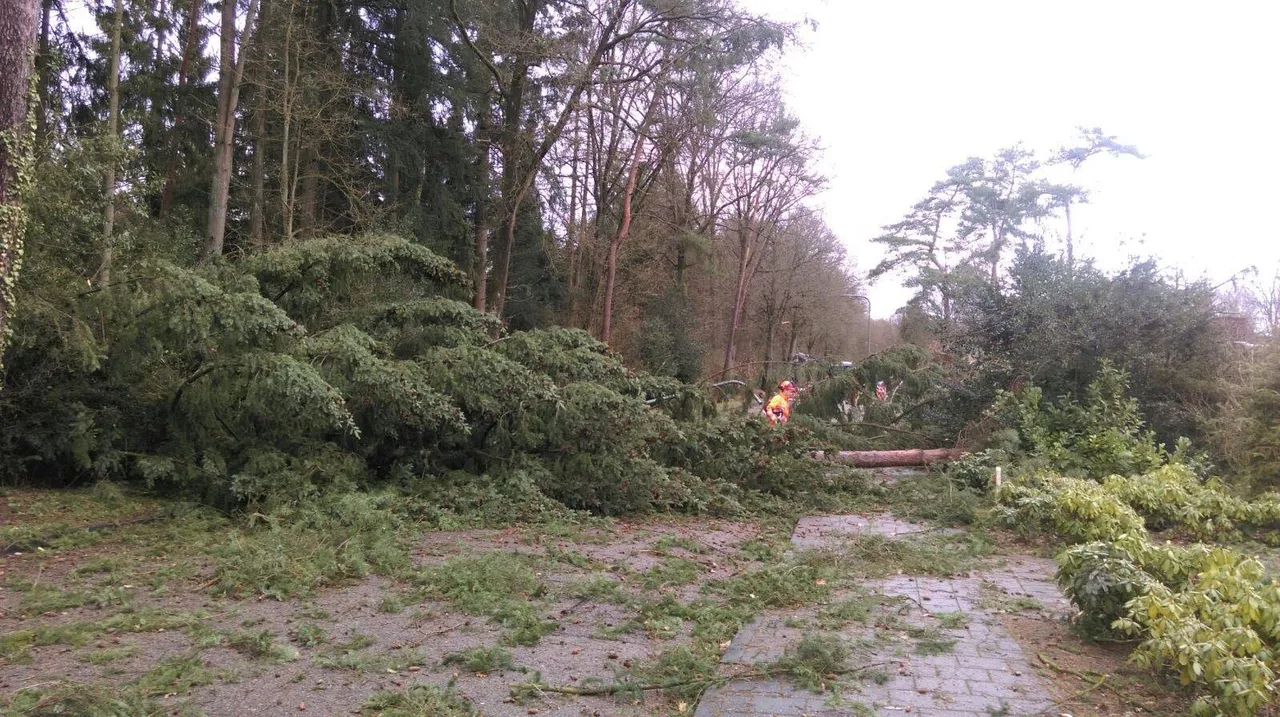 stormschade gemeente rheden 2