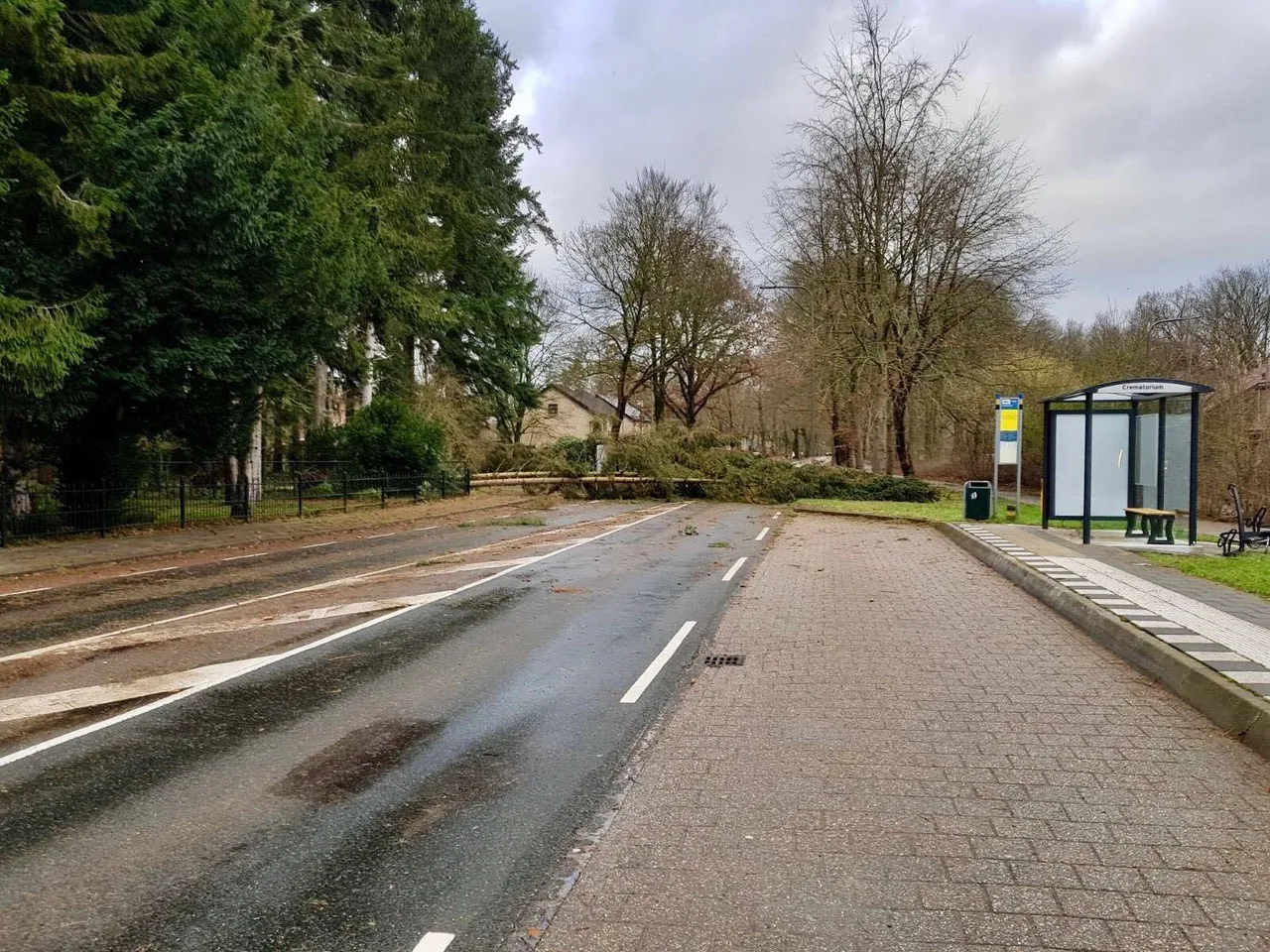 stormschade gemeente rheden 4
