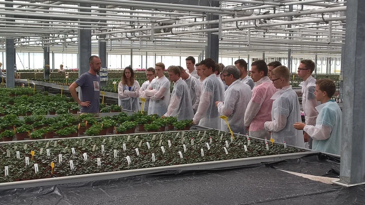 teelt 8 marc van stokkum