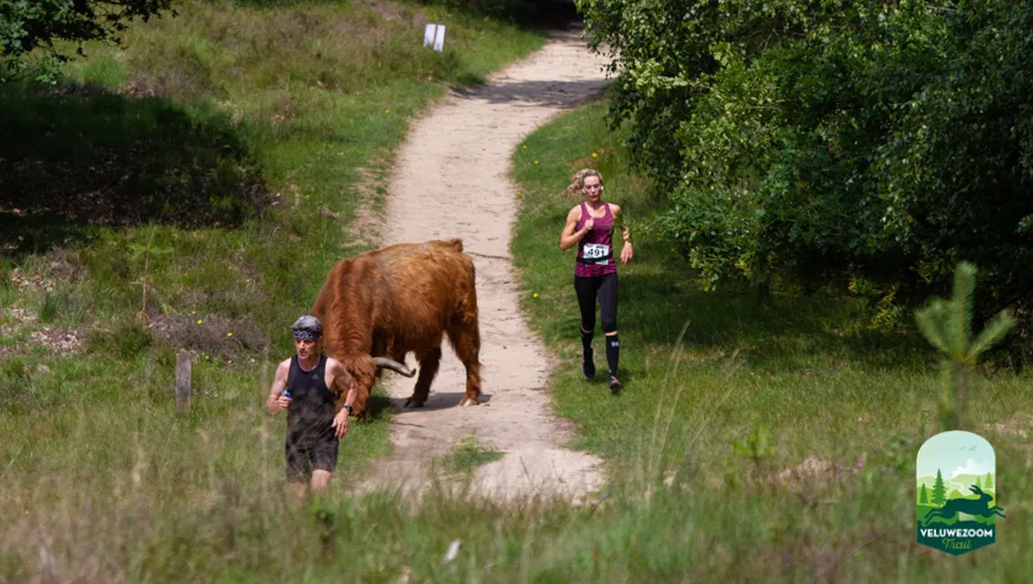 veluwezoom trail experience1 uilekiek horex sports events cairn trails adventures