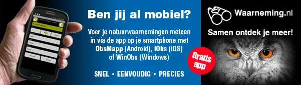 waarnemingennl mobiel